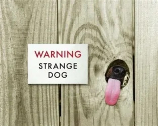 1753487315395.webp
